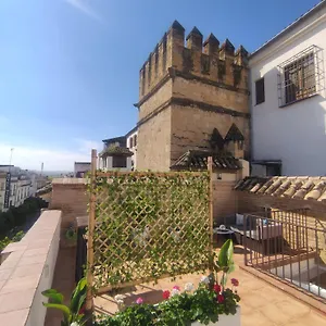 La Muralla De San Fernando De Cordoue